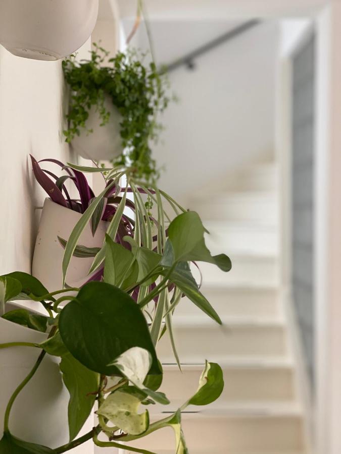 Romantic Wellness Bnb Noordwijk Eksteriør bilde